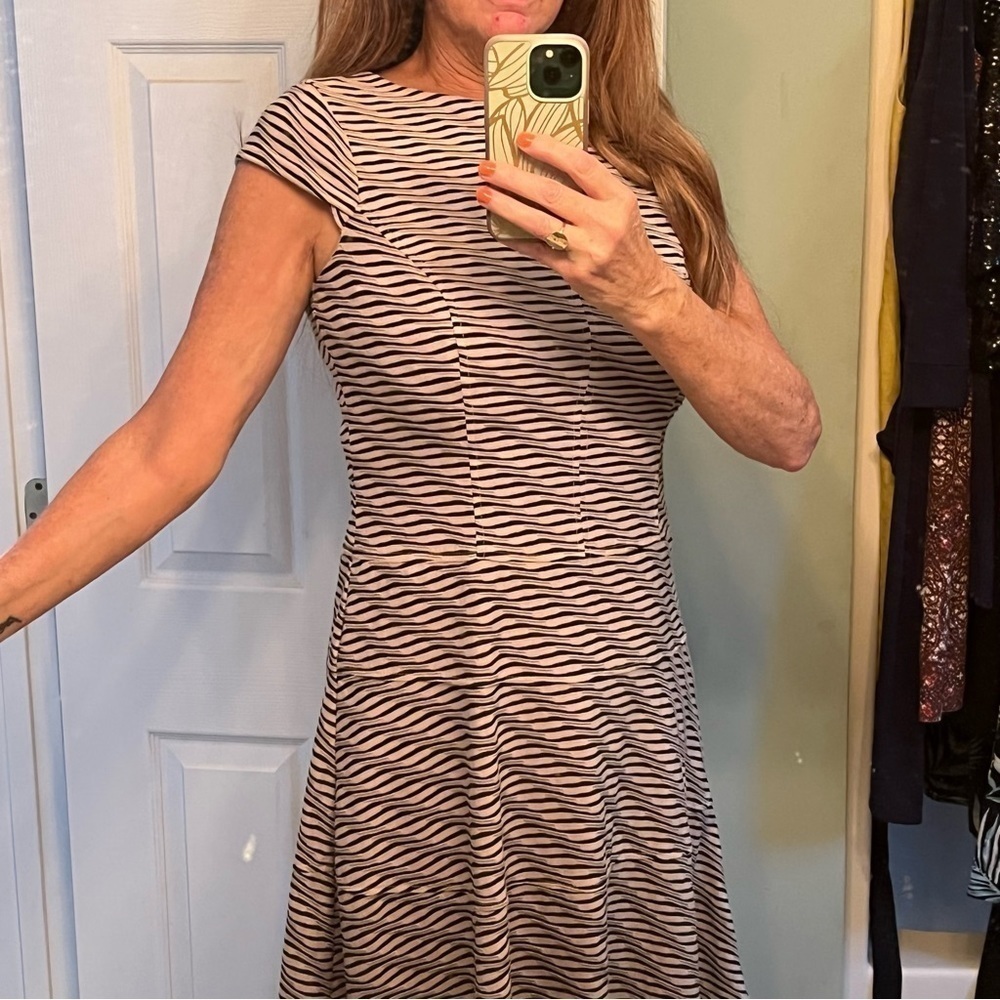 Anne Klein Fit and Flare Dress with Diagonal Slimming Stripes Size 10